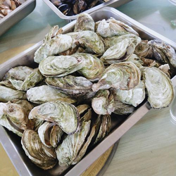 久久久666分类展示